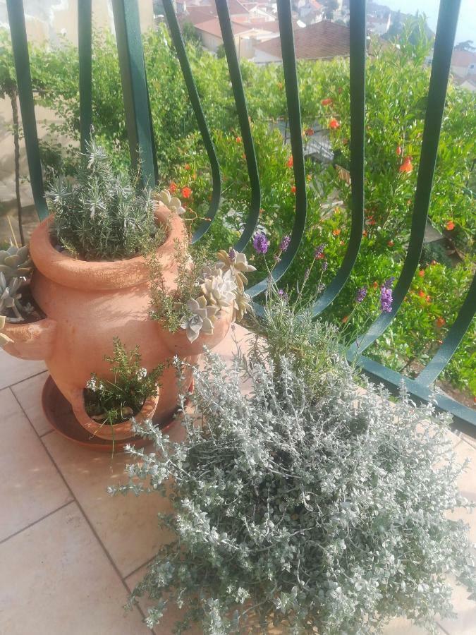 Apartman Betty Šibenik Kültér fotó