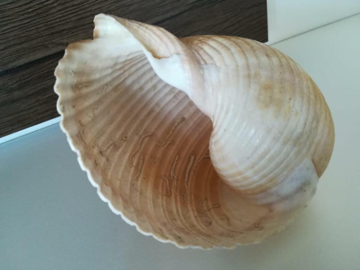 Apartman Betty Šibenik Kültér fotó